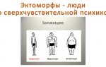 Эктоморфы — люди со сверхчувствительной психикой