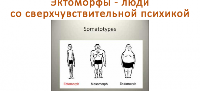 Эктоморфы — люди со сверхчувствительной психикой