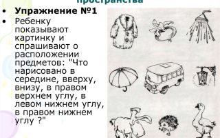 Упражнения для тренингов на развитие чувственного восприятия