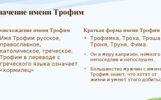 Что означает имя трофим – характеристика имени трофим, толкование имени трофим