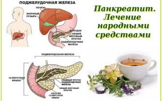 Панкреатит лечение народными средствами / народная медицина
