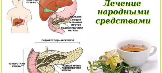 Рак – лечение народными средствами и методами / народная медицина