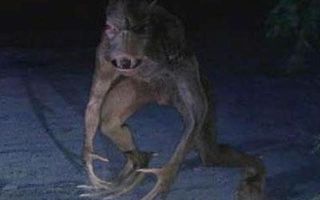 Чупакабра  нападает на людей и животных