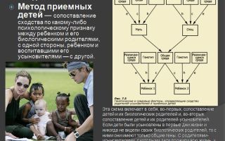 Как найти биологических родителей