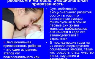 Эмоциональная привязанность ребенка