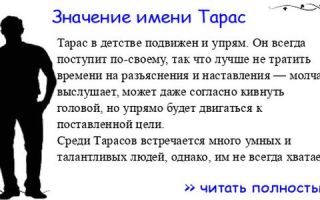 Что означает  имя тарас – характеристика имени тарас, толкование имени тарас