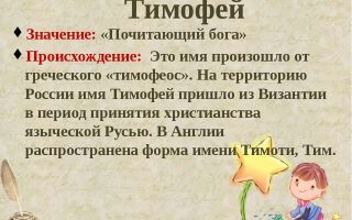 Что означает имя тимофей – характеристика имени тимофей, толкование имени тимофей