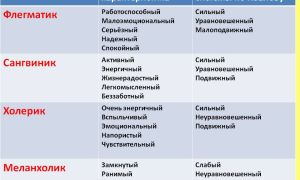 Сангвиник: характеристика типа темперамента