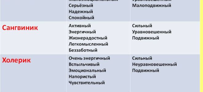 Сангвиник: характеристика типа темперамента