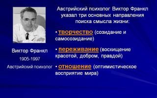Какой смысл жизни человека – поиск смысла жизни по виктору франклу