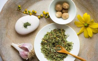 Камни в печени — народные средства и методы / народная медицина