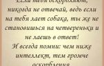 Что делать, если тебя постоянно унижают: 7 советов