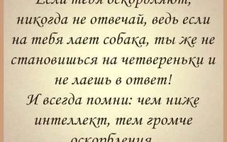 Что делать, если тебя постоянно унижают: 7 советов