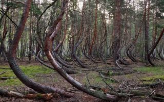 Что означает имя наталья – характеристика имени наталья, толкование имени наталья