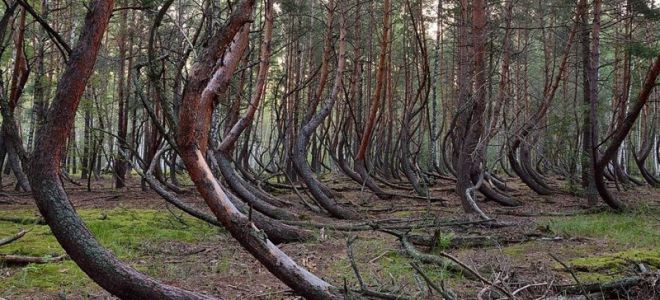 Самые  аномальные зоны в россии