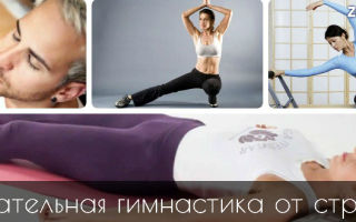 Физические упражнения от софии лорен для похудания и снятия стресса