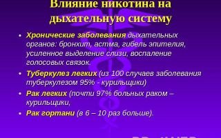 Влияние никотина на дыхание и пищеварение