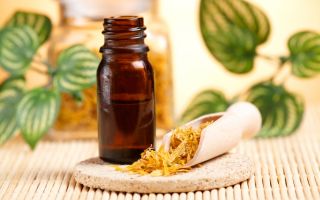 Ожоги  и народная медицина/  лечение ожогов народными средствами