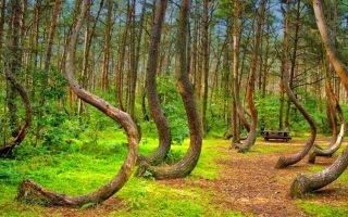 Топ-10 мест планеты, где есть природные аномалии
