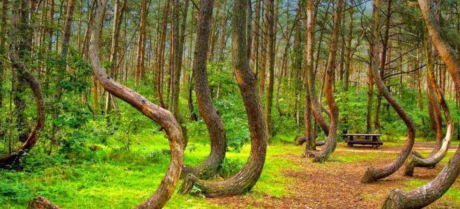 Топ-10 мест планеты, где есть природные аномалии