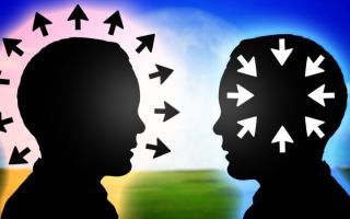 Интроверт мыслительный