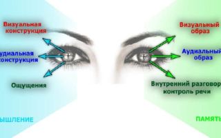 Как научиться читать мысли по глазам