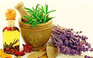 Дизентерия лечение народными средствами / народная медицина