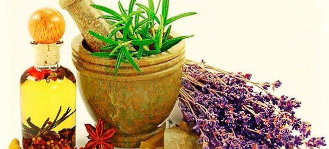 Дизентерия лечение народными средствами / народная медицина