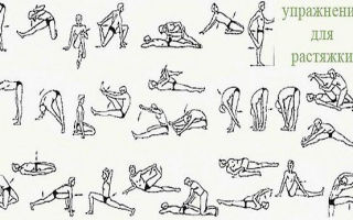 Комплекс простых упражнений на растяжку мышц ног