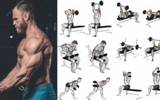 Необычная методика упражнений на бицепсы и трицепсы