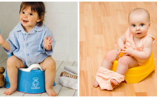 Как научить ребенка пользоваться горшком