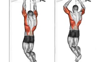 Подтягивание на турнике — ключ к объемным мышцам спины