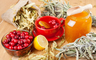 Гипотония – народные средства, народная медицина, народные рецепты