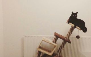 Что делать, если ваша жизнь разваливается