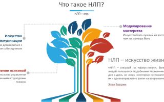 Паттерн введение в состояние в нлп