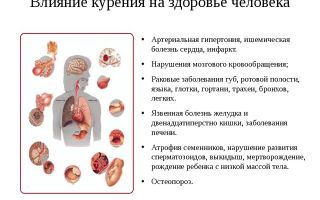 Влияние никотина и курения на здоровье человека