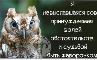 Жаворонок и сова в браке: можно ли ужиться?
