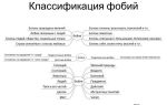 Основные виды страхов – страхи людей и различные фобии