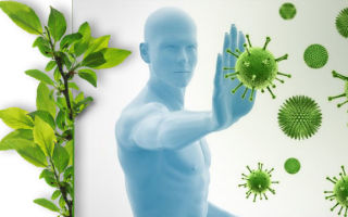 Самогипноз для крепкой и здоровой иммунной системы