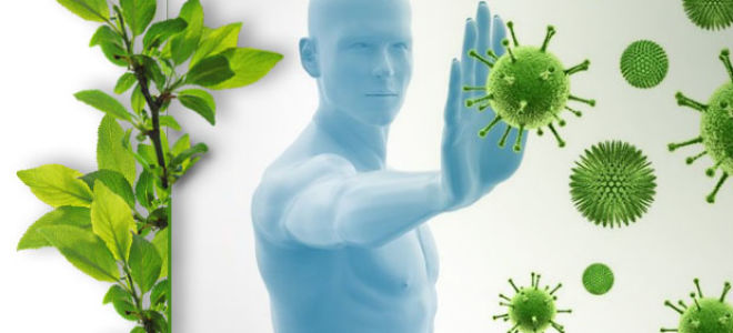 Самогипноз для крепкой и здоровой иммунной системы