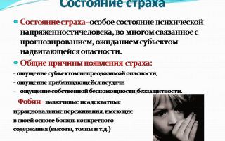 Страх и как с ним бороться — контроль над страхом