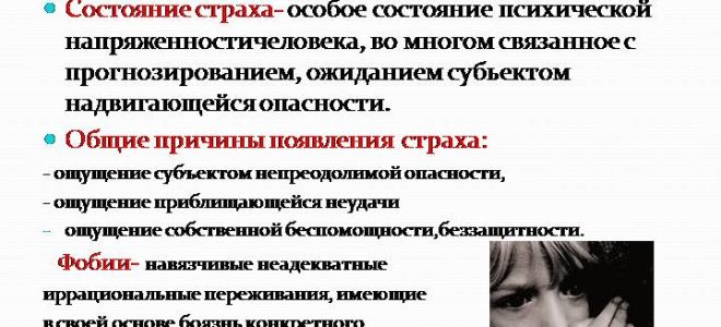 Страх и как с ним бороться — контроль над страхом