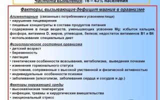 Замкнутый круг: как белке выбраться из колеса