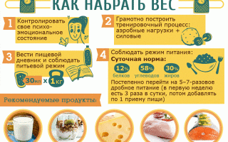 Как  быстро набрать мышечную массу