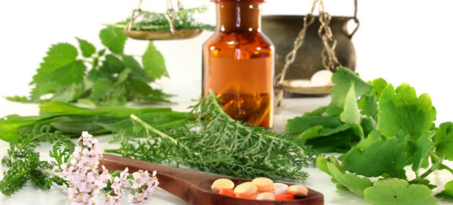 Заболевания кишечника – народные средства и рецепты / народная медицина