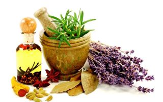 Одышка лечение народными средствами / народная медицина