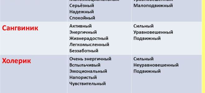 Флегматик:  характеристика типа темперамента