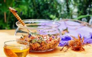 Бессонница народные средства / народная медицина / народные рецепты