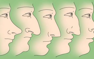 Характер и форма носа взаимосвязаны?