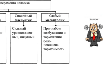 Типы темперамента человека